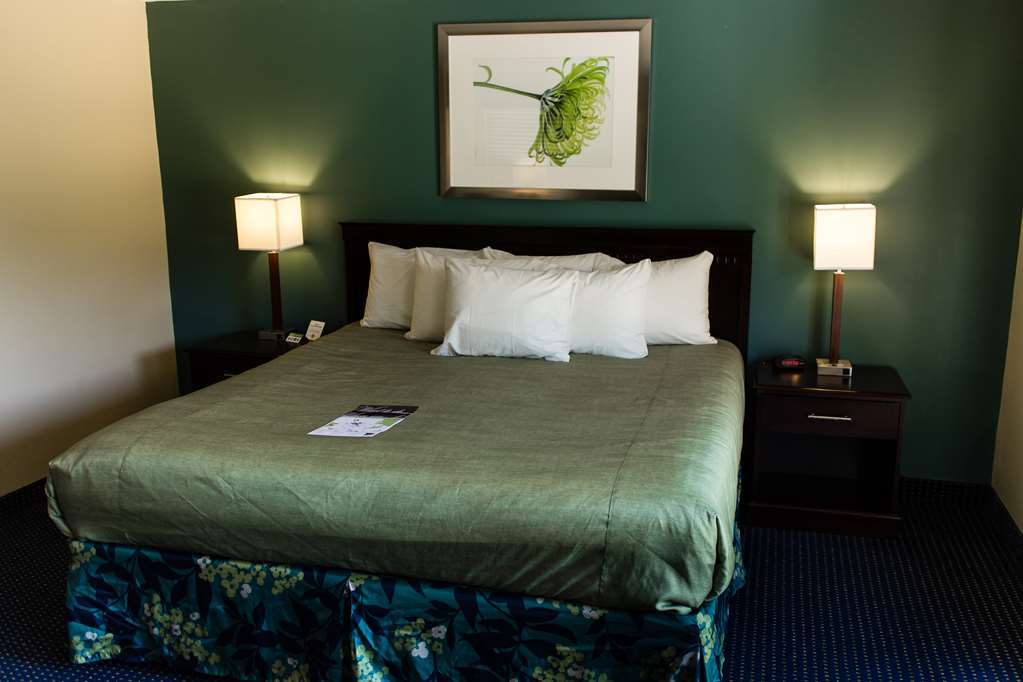 Inn At Deep Creek Oakland ห้อง รูปภาพ